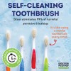 Bouth Watchers - Estuche antibacteriano para cepillos de dientes de