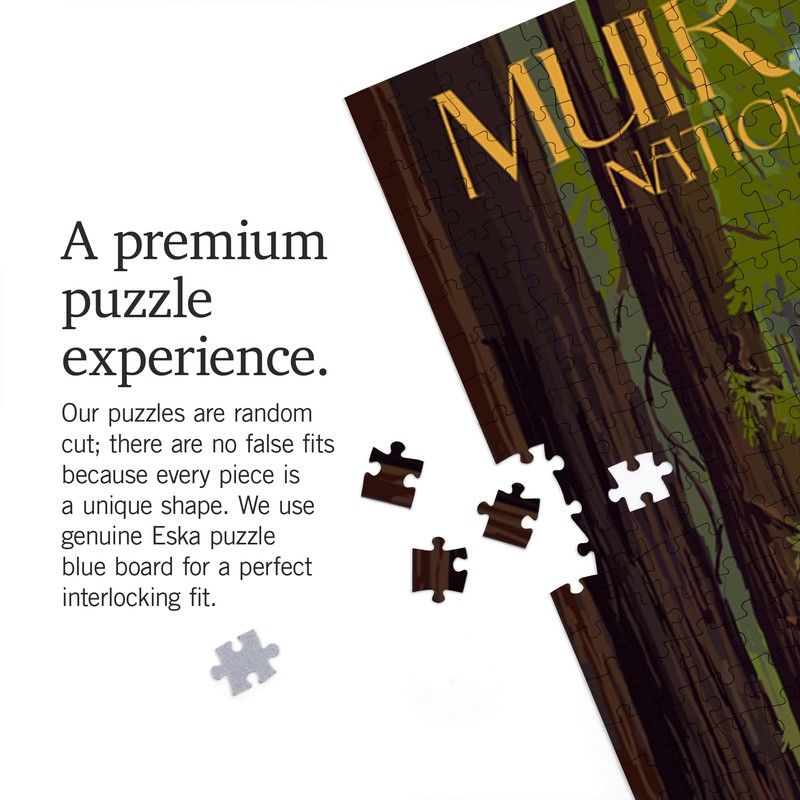 Lantern Press Muir Woods National Monument, California, Pathway, 1000 Piece