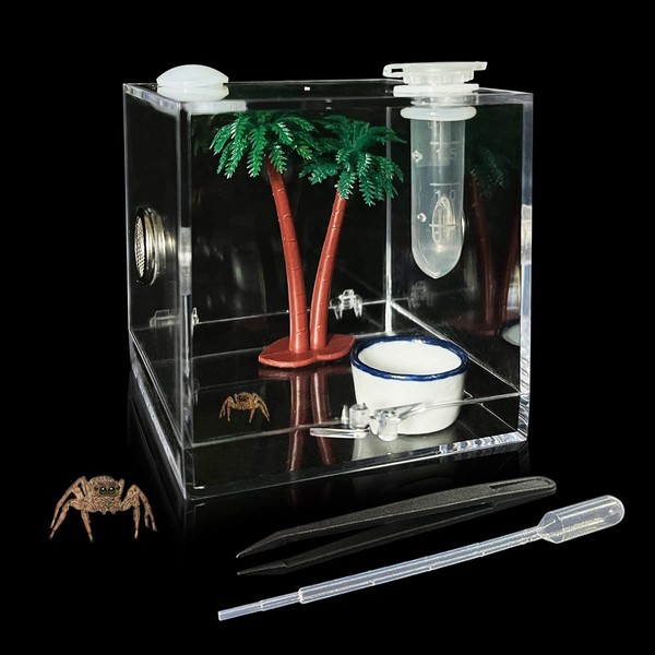 GKPONSX Jumping Spider Enclosure, Acrylic Snail Spider Terrarium Insect Breeding