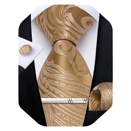 DiBanGu Paisley Ties for Men Silk Necktie and Pocket Square Cufflinks Tie Clip Set Woven Classic Mens Tie for Wedding Party, Champagne