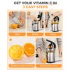 Amzpass Electric Orange Juicer, Citrus Juicer Squeezer with 2 Interchangeable
