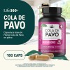 Cola De Pavo Life 360 180 Cpsulas Con Hongo Cola