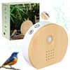 Bird Chirping Motion Sensor Box, Bird Chirping, Natural Sounds Box