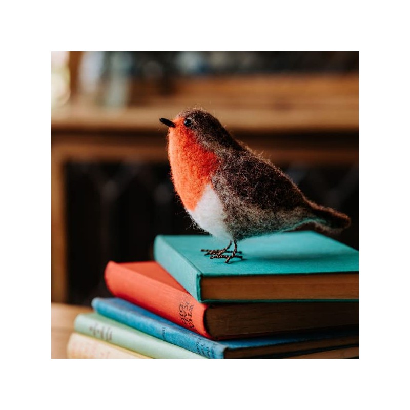 The Crafty Kit Company British Birds Robin Needle Felting Kit