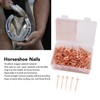 250Pcs Horseshoe Nails Copper Plated Rustproof Equestrian Riding Equipment Pet