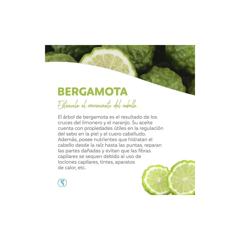 2 Pack Shampoo Bergamota Caida Cabello 530 Ml Shelo Nabel
