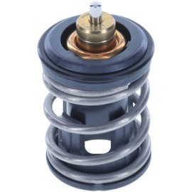 Thermostat - 207 Degrees