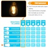 winsaLED 12 Pack 2W LED Edison Bulbs, 25 Watt Light