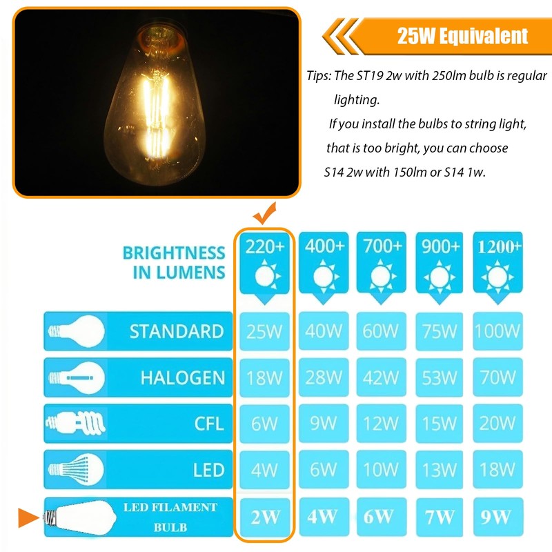 winsaLED 12 Pack 2W LED Edison Bulbs, 25 Watt Light