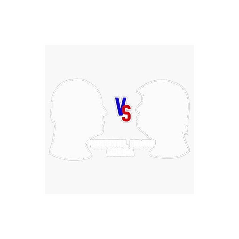 LAD Studio America Election Sticker Bumper Sticker Vinyl Decal 5""