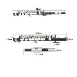 16 Hole Piccolo Set Metal Key of C Piccolo with Cleaning Cloth Screwdriver and Bar for Beginners Students Performance (Black)