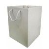 Glossy Vibrant Flower Gift Bag, Bouquet Vase | Valentines |