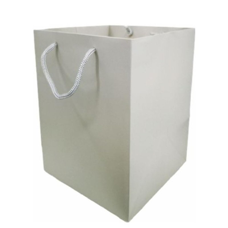 Glossy Vibrant Flower Gift Bag, Bouquet Vase | Valentines |