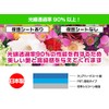 Miyabix OBPENEP7/12 Glossy LCD Screen Protector Film Fingerprint Bubble Proof