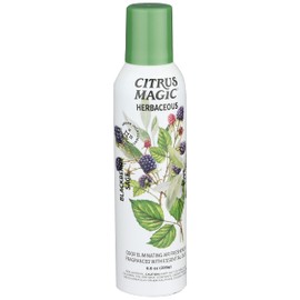Citrus Magic Herbaceous Odor Eliminating Air Freshener Spray, Blackberry Sage, 8-Ounce, Pack of 2
