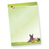 Writing Paper Set A4 Easter Easter Bunny (10 Sets Without