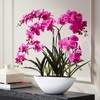 Dahlia Studios Potted Silk Faux Artificial Flowers Arrangement Realistic Pink
