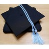 UIALECG Cordones de honor de graduación, 68 pulgadas de largo