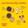 Burt's Bees Lip Balm Birthday Cake, Moisturising Lip Balm With