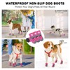 SCENEREAL Dog Shoes Small Sized Dogs, Anti-Slip Dogs Boots &