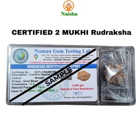 NAISHA Himalayan 2 Mukhi Rudraksha Bead, 100% Certified & Original Two Faced Rudraksha Seed Necklace, Rudraksha Bead Pooja/Prayer/Meditation