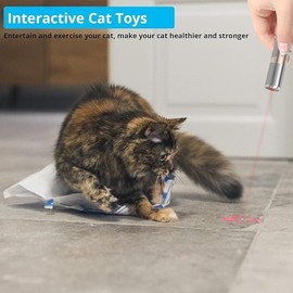 Lzonunl Cat Toy, 2 Pieces USB Rechargeable, Long Range 5 Modes, Interactive Kitten Cat Mouse Toy for Indoor Cat and Dog Chase Play