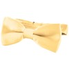 DonDon Elegant Children's Bow Tie with Adjustable Length 9 x