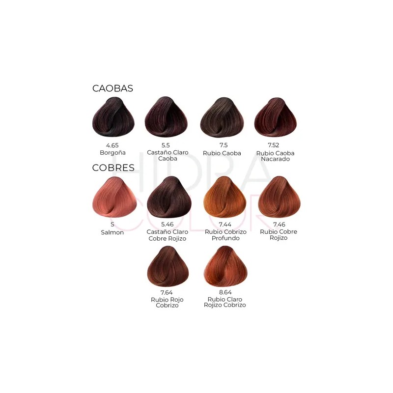 Tinte Para Cabello Hidracolor Naturales 90 Ml + Peróxido Tono