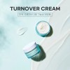 Daphnellia Turnover Cream 50ml K-Beauty