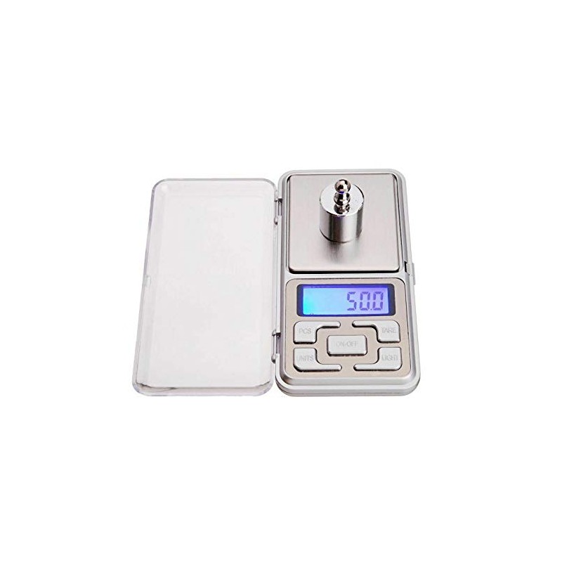 Pocket Digital Scale, BE Tool Mini Weighting LCD Display 0.1-500g
