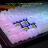 Glorious Raptor Clicky Switches for Mechanical Keyboards for Gaming: 36