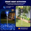 All in 1 Solar Bug Zapper Outdoor, Flame & Projection