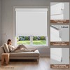 BERISSA Cordless Blackout Roller Shades for Indoor Windows with Light