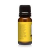 Mango Madness Premium Grade Fragrance Oil - 10ml - Scented