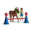 Schleich – Pony Agility Training (42481)