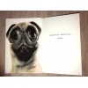 Twisted Whiskers Greeting Card w/ Envelope