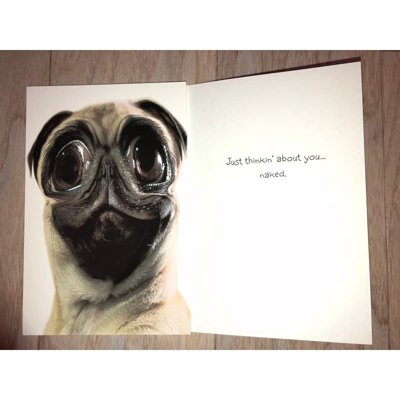 Twisted Whiskers Greeting Card w/ Envelope