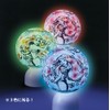 60 Piece Jigsaw Puzzle Glow in the World Puzzle Lantern