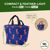 ECO CHIC Lightweight Foldable Insulated Lunch Bag Water Resistant Cooler