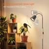 Bstrip Grow Light for Indoor Plants, 65" Tall Standing Grow