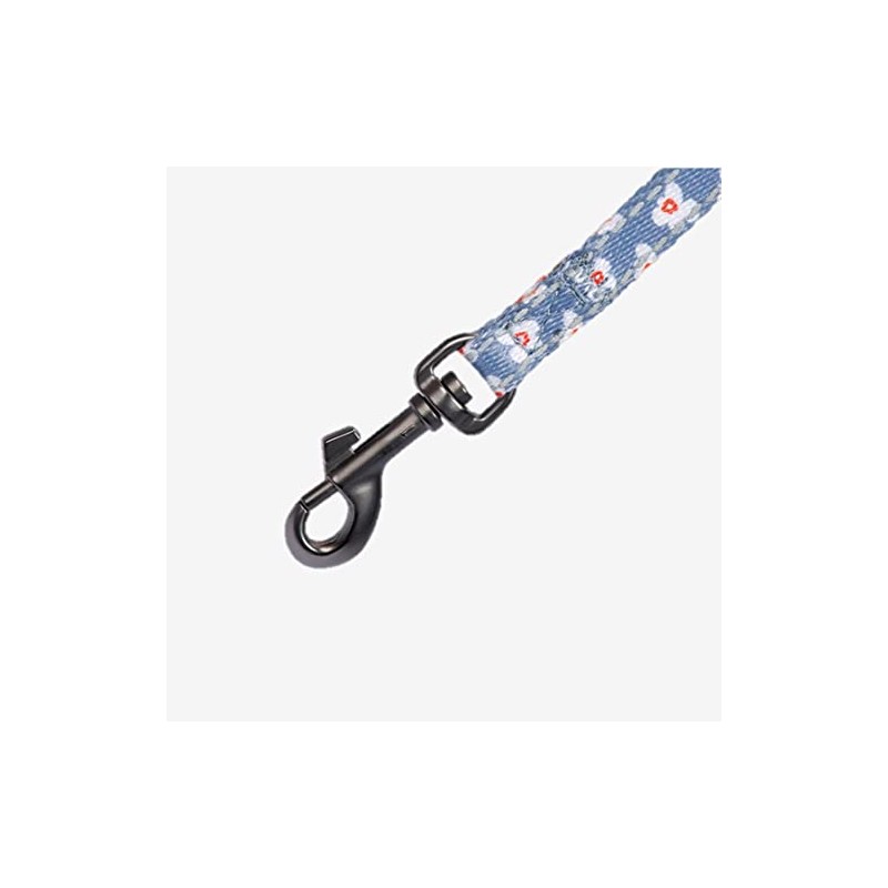 Luklan DOGNESS Dog Ness Leash & Harness Set, Little Rascal