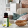 Sheer Essence Sheer Essence Galbanum Oil 100% Pure Natural Undiluted