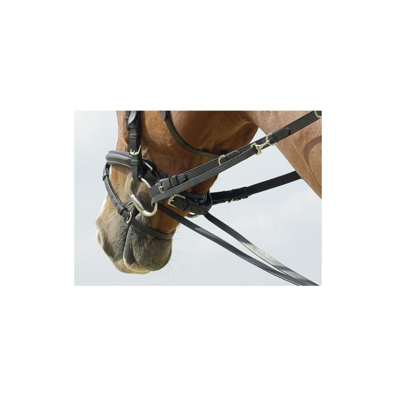 Web Reins with D-rings for Market-Harborough, Pony, black