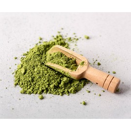 스테디 국내산 말차라떼 Steady Domestic Matcha Latte