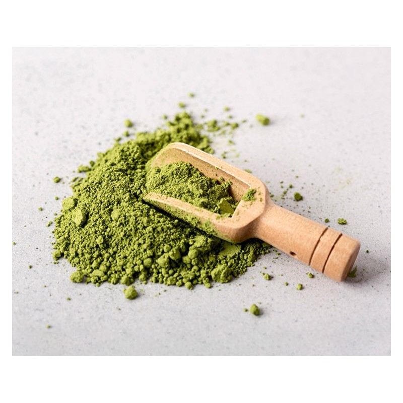 스테디 국내산 말차라떼 Steady Domestic Matcha Latte