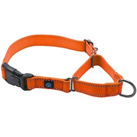 Max and Neo Nylon Martingale Collar - We Donate to a Dog Rescue for Every Collar Sold (Large, Orange)