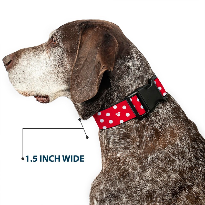 Buckle-Down Plastic Clip Collar - Minnie Mouse Polka Dot/Mini Silhouette