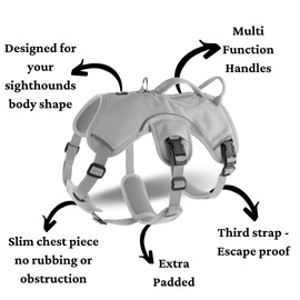 Snootiful Hound Sighthound Harness for Greyhounds, Whippets and Lurchers - 3 Point Escape Proof Dog Harness - Padded, No Escape, Non Slip (Grey, XS)