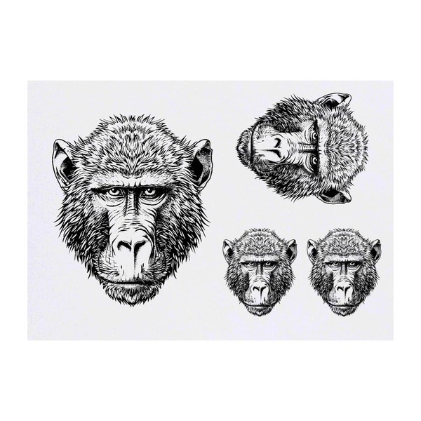 Azeeda 4 x 'Paviankopf' Temporäre Tattoos - Wasserfest, Hautfreundlich &