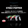 DAIWA 60F Adelgill Bass Lure Steese Popper